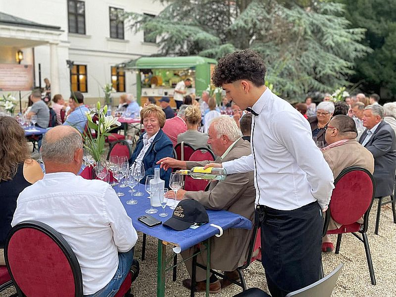 Borkultúra, tudomány és zene