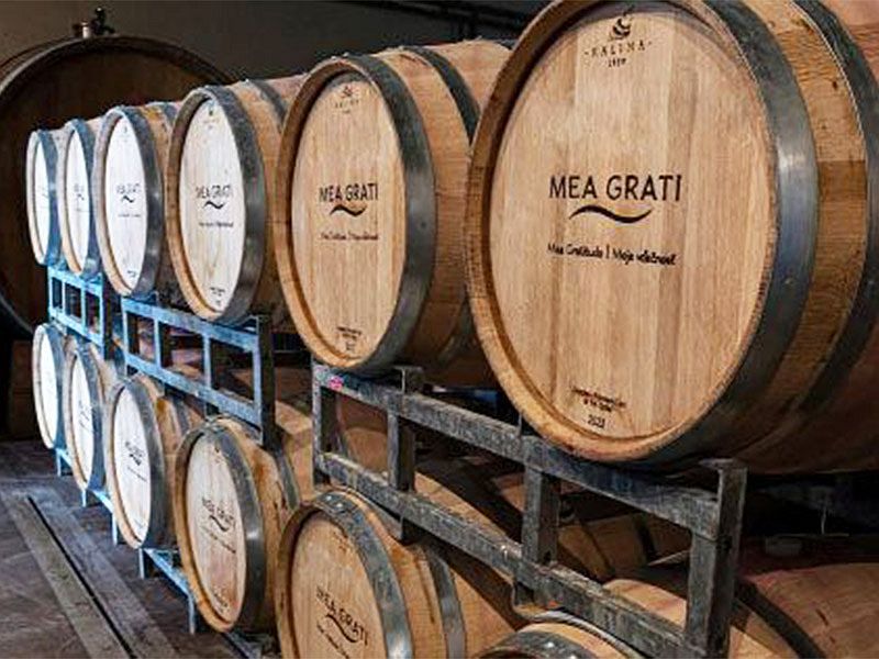 2025. IV. negyedév decemberi lapszám